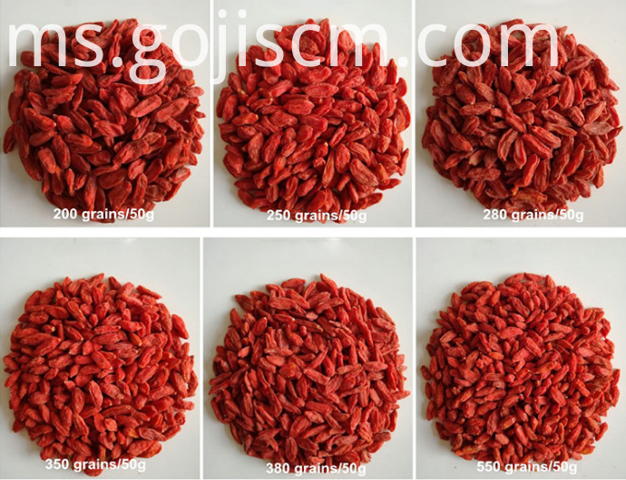 Saiz Goji Berry Asli New Natural Goji Berry sizes